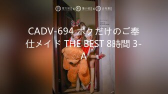 CADV-694 ボクだけのご奉仕メイド THE BEST 8時間 3-A