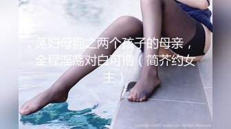 荡妇母狗之两个孩子的母亲，全程淫荡对白可撸（简芥约女主）