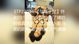 STP22054 【孕味十足】怀胎四个月的小姐姐 为了赚奶粉钱真是拼了 隆起的小腹 乌黑的阴毛 香艳刺激 人气爆棚