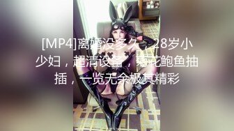 [MP4]离婚没多久，28岁小少妇，超清设备，菊花鲍鱼抽插，一览无余极其精彩