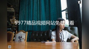 9977精品视频网站免费观看