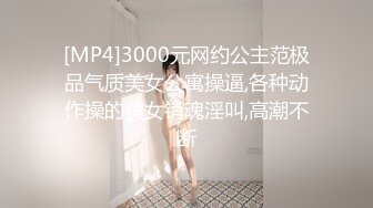 [MP4]3000元网约公主范极品气质美女公寓操逼,各种动作操的美女销魂淫叫,高潮不断