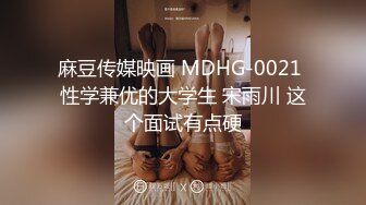 麻豆传媒映画 MDHG-0021 性学兼优的大学生 宋雨川 这个面试有点硬