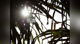 麻豆传媒-女房客之性诱惑-林怡梦