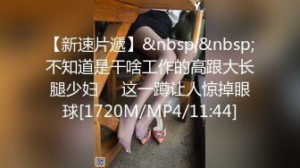 【新速片遞】&nbsp;&nbsp;不知道是干啥工作的高跟大长腿少妇❤️这一蹲让人惊掉眼球[1720M/MP4/11:44]